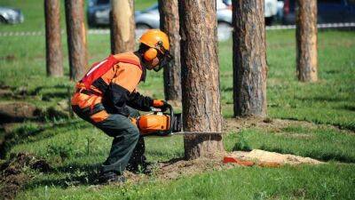 Био в ресурс: в России начнут отапливать дома отходами деревообработки