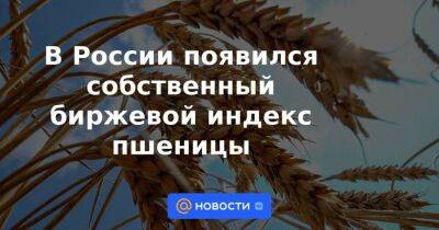 В России появился собственный биржевой индекс пшеницы