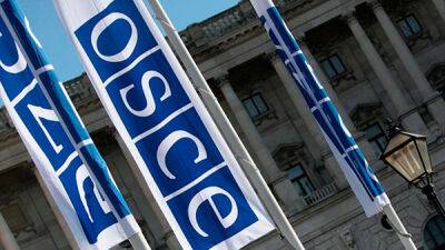 Парламентская ассамблея ОБСЕ поддержала идею лишить полномочий делегацию России