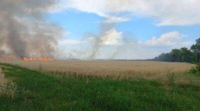 Обстрелы Николаева и области: горели поля с пшеницей