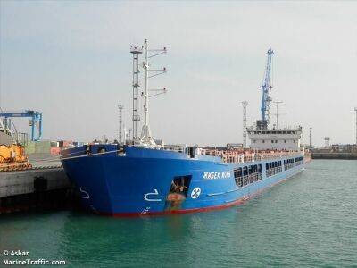Задержанное в Турции российское судно с краденным украинским зерном отпустили – МИД Украины