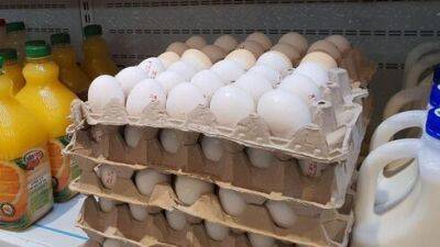 8 июля: в Израиле резко повысится цена на куриные яйца