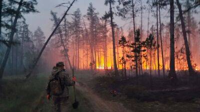 Власти ввели режим ЧС из-за лесных пожаров в Хабаровском крае