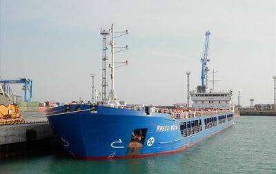 Турция отпустила судно РФ с краденным зерном: реакция Украины
