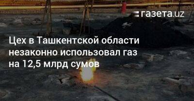 Цех в Ташкентской области незаконно использовал газ на 12,5 млрд сумов