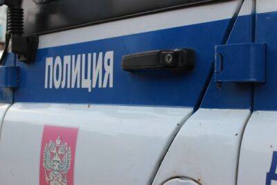 В Тверской области задержали уличного грабителя