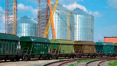 Стоимость перевозки зерна на экспорт в вагонах "Укрзализныци" подорожала почти в 10 раз - УКАБ