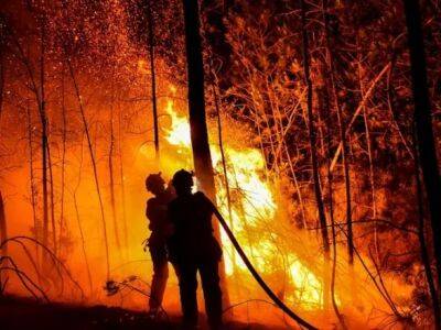 Горят более 600 гектаров растительности: на юго-востоке Франции вспыхнули масштабные лесные пожары - unn.com.ua - Украина - Киев - Франция