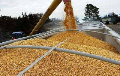 Новый груз кукурузы из Украины будет грузить Bega
