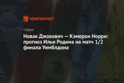 Новак Джокович — Кэмерон Норри: прогноз Ильи Родина на матч 1/2 финала Уимблдона