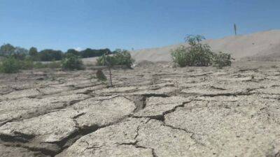 Засуха на берегах реки По