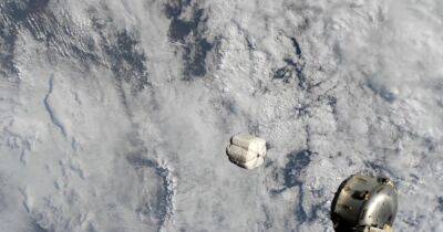 Новый способ утилизации: на МКС впервые выбросили в космос "пакет" с мусором весом 78 кг (видео)