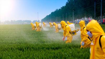 Кабмин упростил регистрацию пестицидов и агрохимикатов