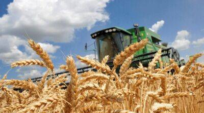 Аграрии намолотили первый миллион тонн зерна нового урожая – МинАП