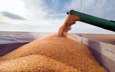 Кабмин упростил экспорт пшеницы - korrespondent.net - Украина