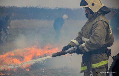 Несколько часов пожарные боролись с огнем в лесу под Тверью