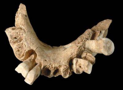 В Испании, вероятно, нашли старейшую окаменелость человека в Европе