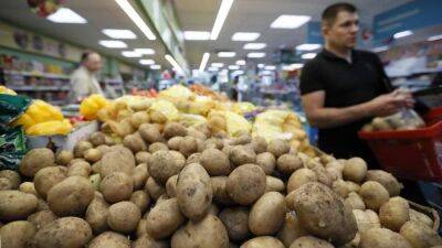 В Минсельхозе исключили дефицит картофеля в России - smartmoney.one - Россия - county Mcdonald