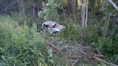 Смертельное ДТП в Тверской области: машина врезалась в дерево