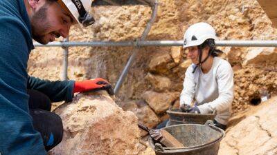В Испании обнаружены останки древнейшего человека в Европе