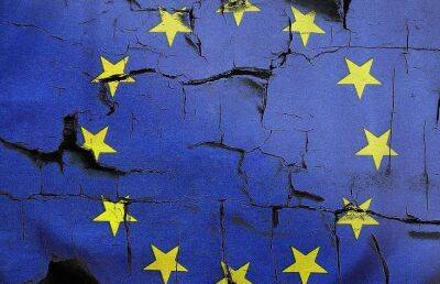 Принятие Украины в ЕС станет самой большой глупостью Европы, заявил российский сенатор