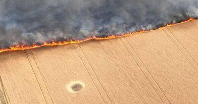 "Огонь идет стеной": оккупанты поджигают пшеничные поля на юге Украины (видео)