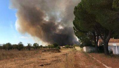 Во Франции вспыхнули новые лесные пожары - unn.com.ua - Украина - Киев - Франция