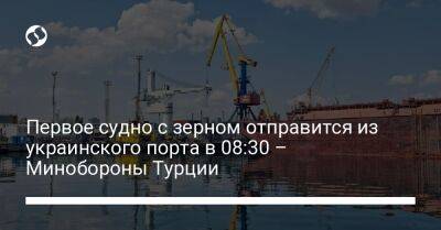 Первое судно с зерном отправится из украинского порта в 08:30 – Минобороны Турции