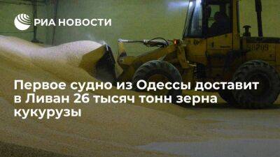 Минифраструктуры Украины: судно RAZONI вышло из порта Одессы с 26 тысячами тонн кукурузы