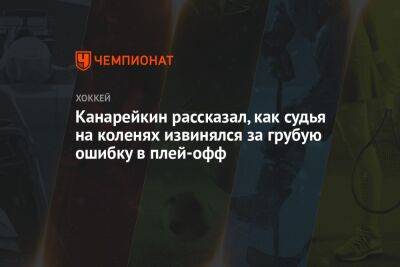 Федор Канарейкин - Канарейкин рассказал, как судья на коленях извинялся за грубую ошибку в плей-офф - championat.com - Россия