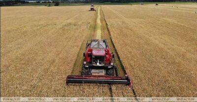 Belarus harvests over 1.6m tonnes of grain
