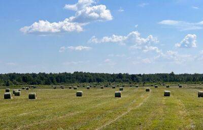 Стало известно, где в Тверской области активнее всего заготавливают корма