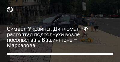 Символ Украины. Дипломат РФ растоптал подсолнухи возле посольства в Вашингтоне – Маркарова