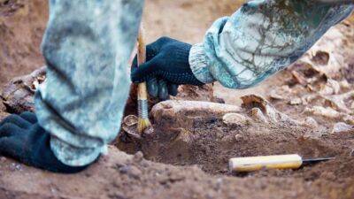 Кістки невідомого предка ссавців розкопали на півдні Франції