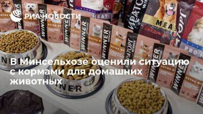 Минсельхоз: выпуск кормов для домашних животных в России закрывает внутренние потребности