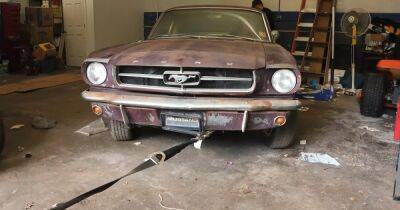 Культовые Ford Mustang 30 лет простояли в заброшенном гараже (видео)