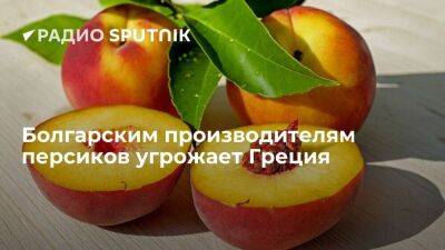 Болгарские производители персиков бьют тревогу из-за волны греческого импорта