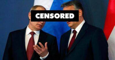 Владимир Путин - Виктор Орбан - Венгрия - Россия отключила нефть Венгрии. Зачем Путин унижает Орбана - focus.ua - Россия - Украина - Венгрия - Чехия - Одесса - Словакия