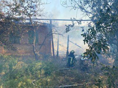 В Донецкой области в результате обстрелов со стороны оккупантов погибли 11 человек – ОВА