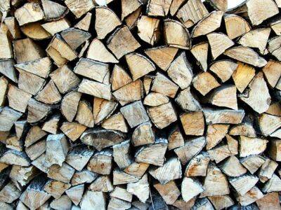 В Венгрии вступил в силу запрет на экспорт дров