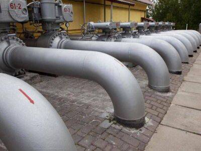 «Нафтогаз»: Транспортировка нефти по украинскому участку «Дружбы» возобновлена