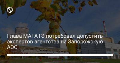 Глава МАГАТЭ потребовал допустить экспертов агентства на Запорожскую АЭС