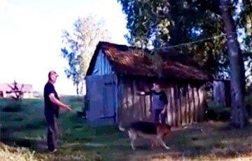 В Вороновском районе белоруска натравила овчарку на милиционеров - charter97.org - Белоруссия - район Вороновский