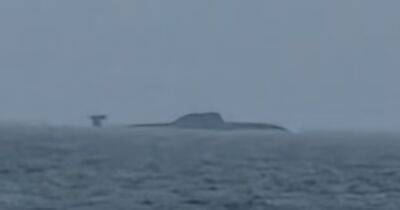НАТО устроило охоту на российскую подлодку у берегов Норвегии (фото)