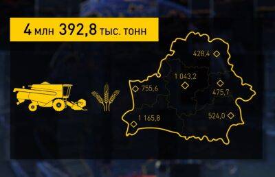 Уборочная-2022: в Беларуси намолочено почти 4,4 млн тонн зерна