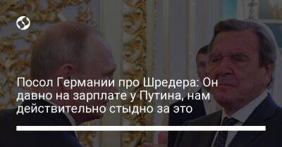 Владимир Путин - Герхард Шредер - Анка Фельдгузен - Посол Германии про Шредера: Он давно на зарплате у Путина, нам действительно стыдно за это - liga.net - Россия - Украина - Германия