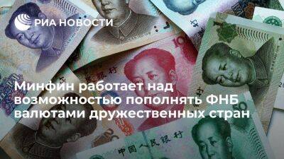 Минфин прорабатывает возможность пополнения ФНБ юанями, рупиями и лирами