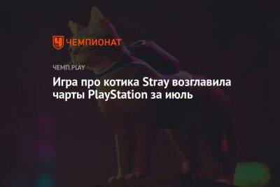 Игра про котика Stray возглавила чарты PlayStation за июль