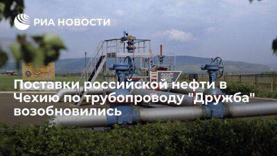 Поставки российской нефти в Чехию по южной ветке трубопровода "Дружба" возобновились