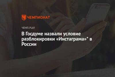 В Госдуме не исключают возвращение «Инстаграма»* в России